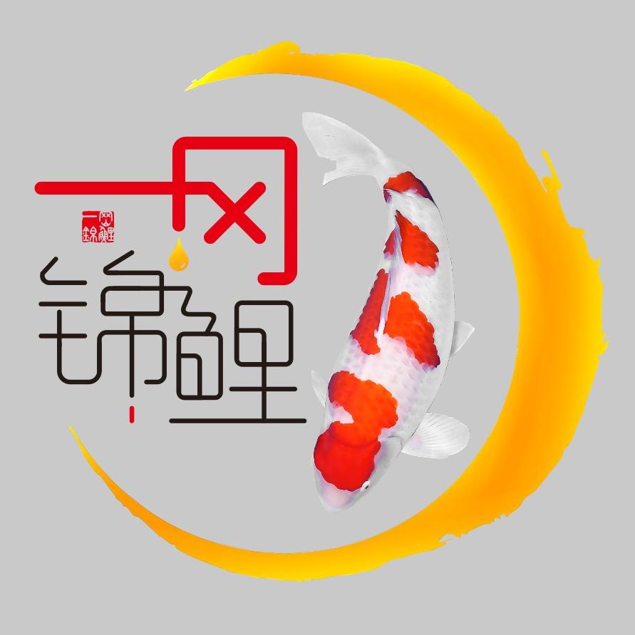 一冈锦鲤官方号