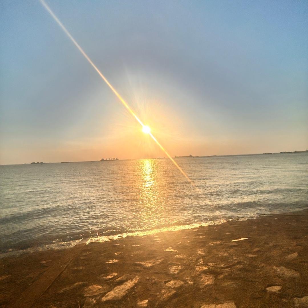 姑娘一首春不晚