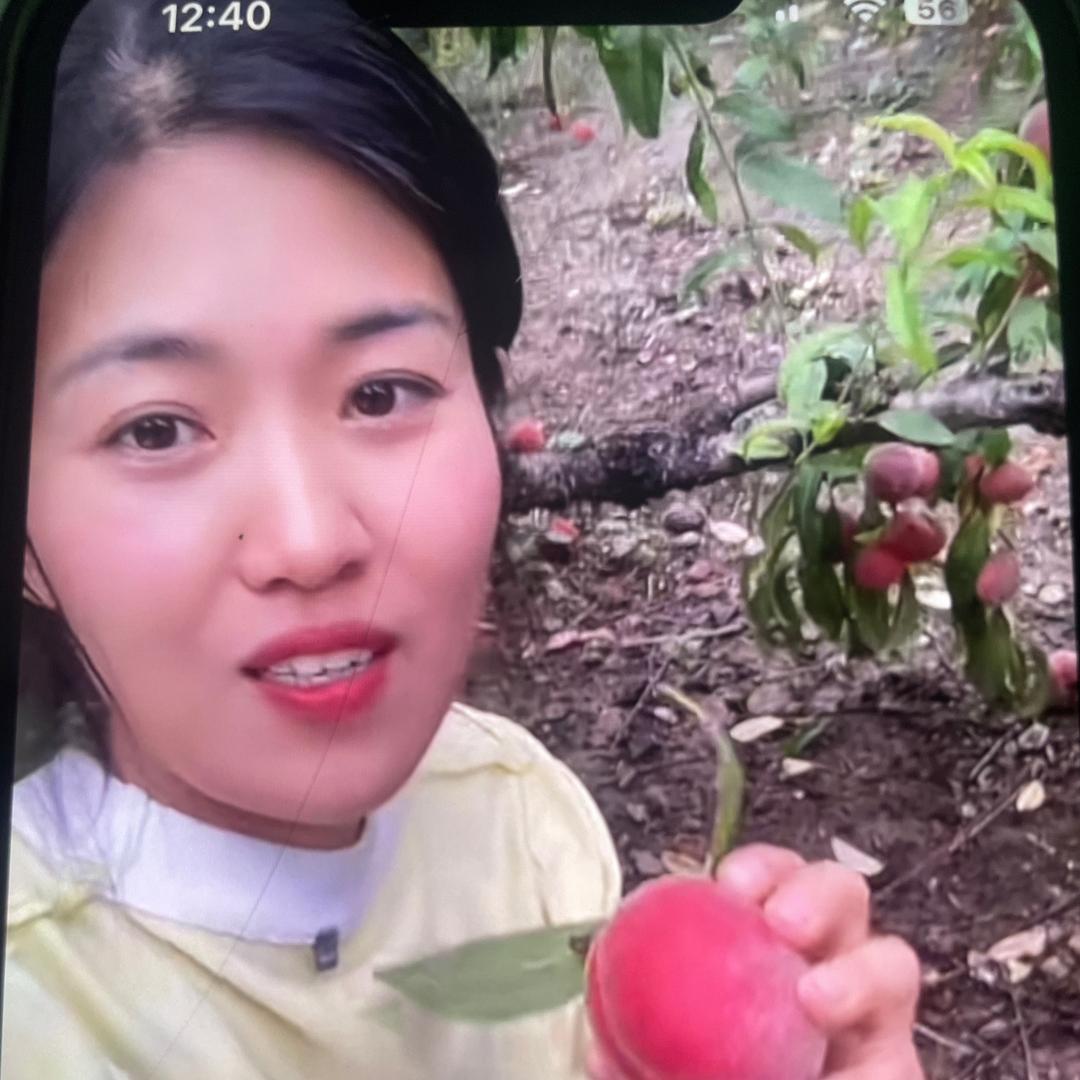 小凤在田间