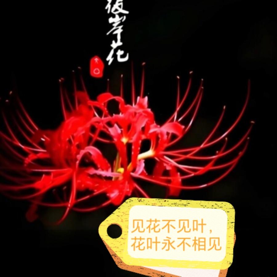 画心❤️画你画入魂