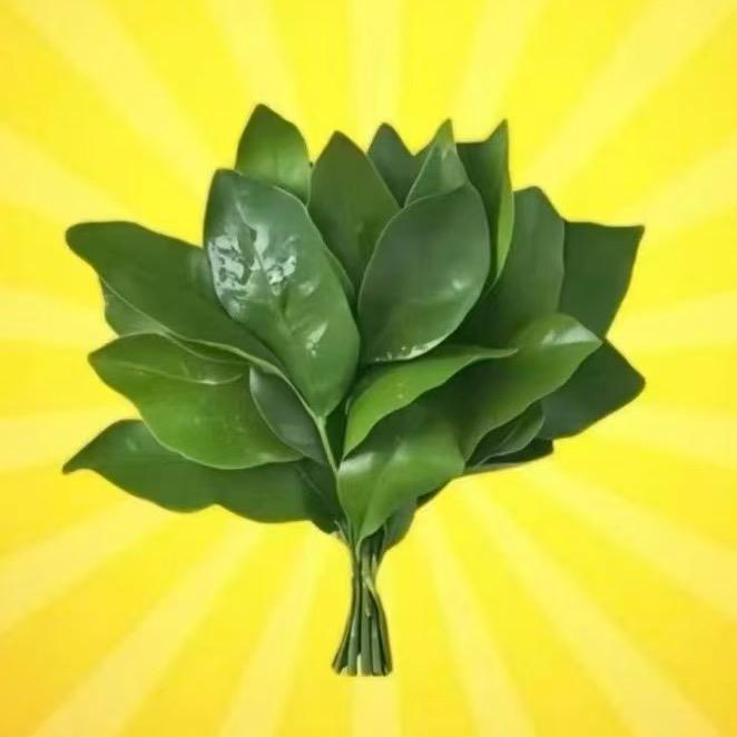 不发脾气只发财