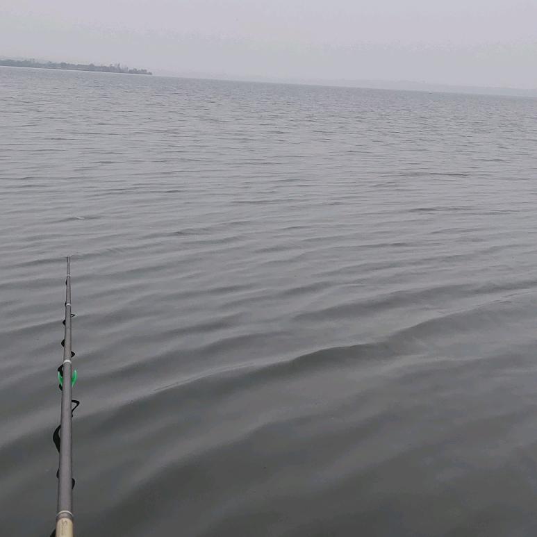 大风大浪