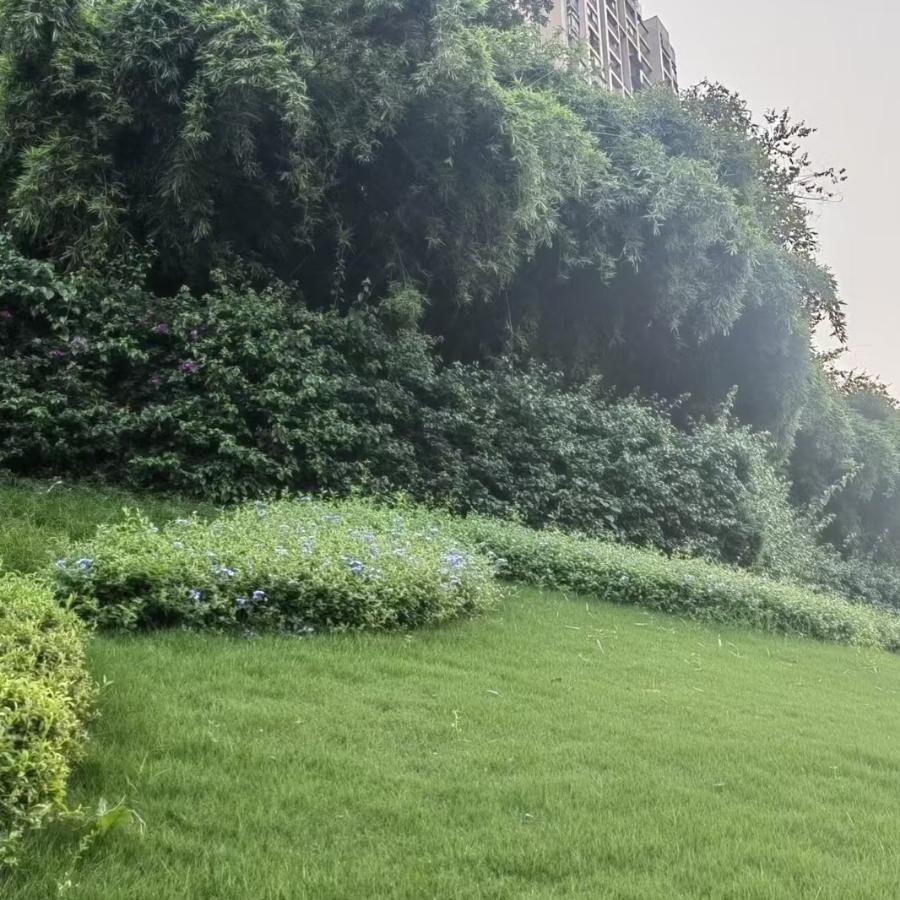 岁月静语