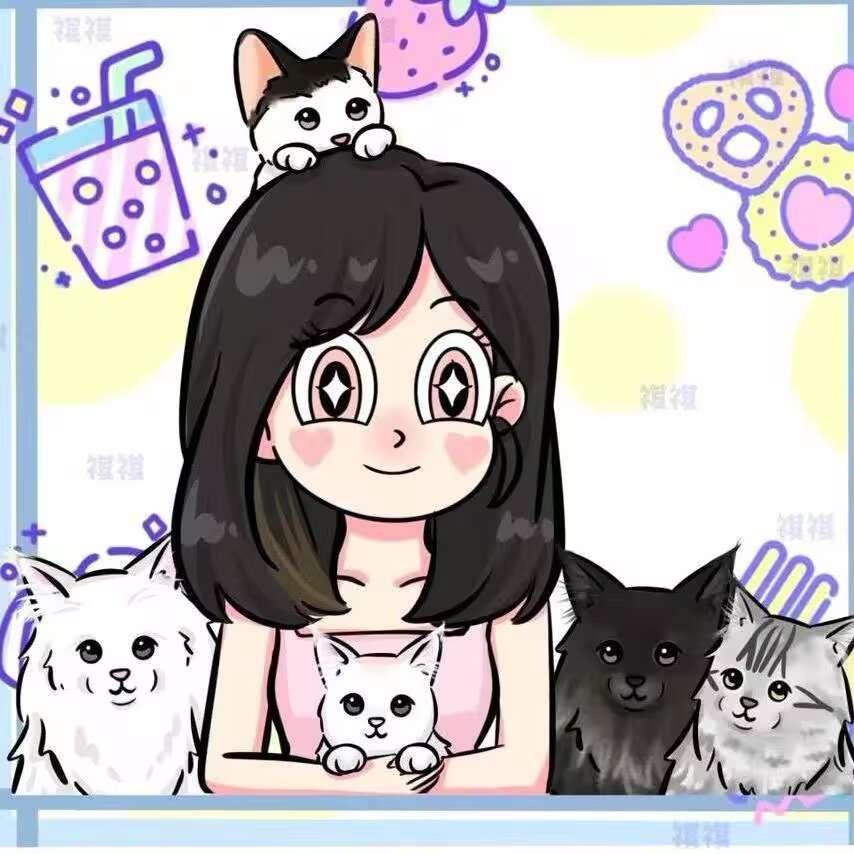 祺祺缅因小分队