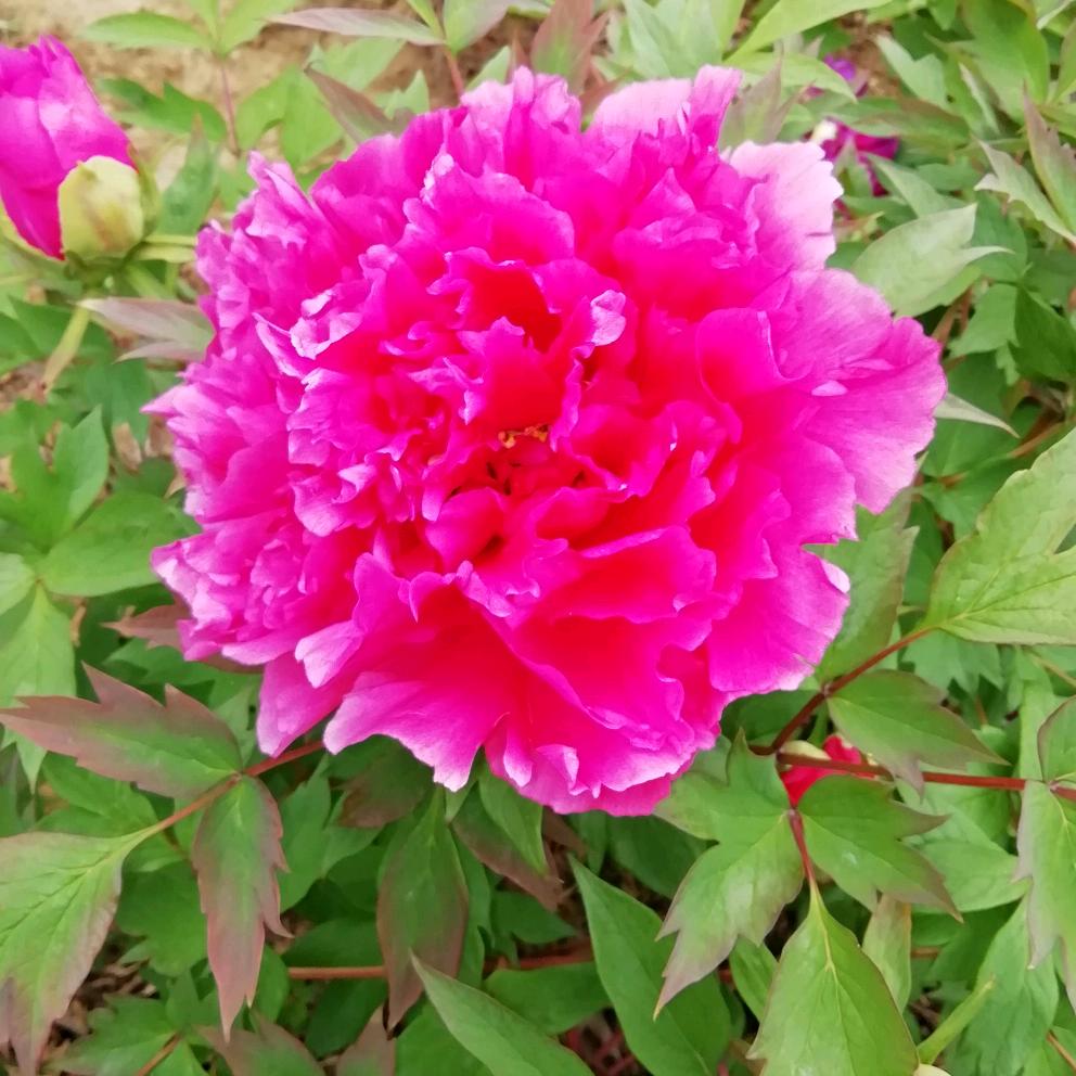 天天开心😀