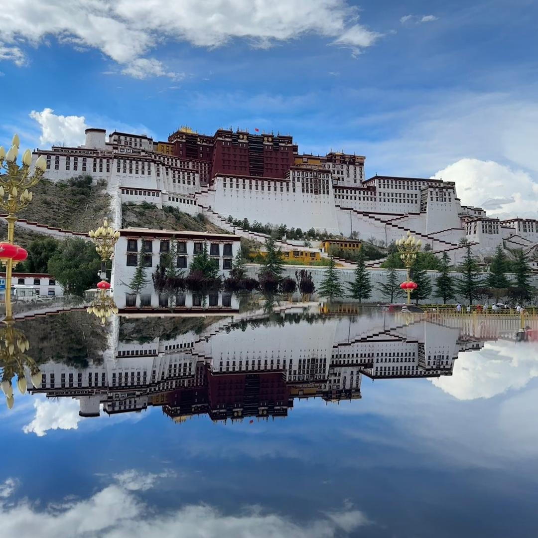 桃桃暴富有钱花ღ້໌（带娃版）