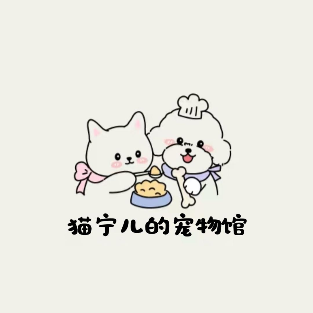 猫宁儿