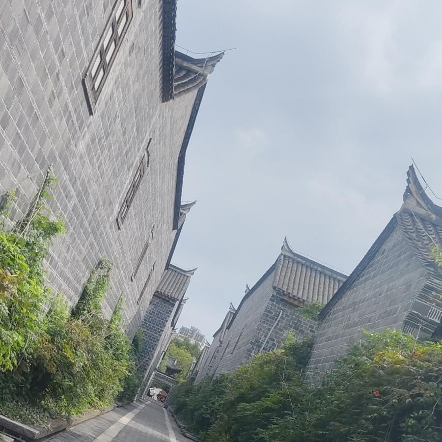 狼影