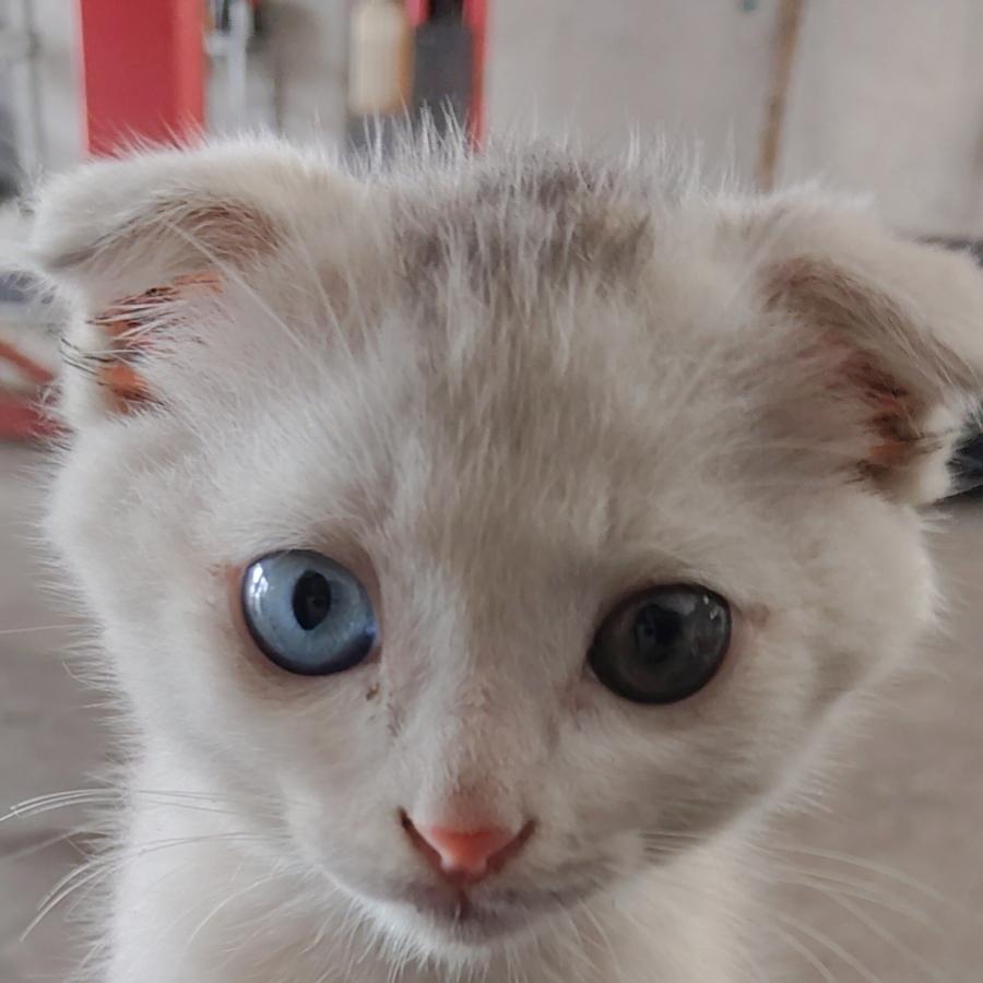 你看起来很下饭