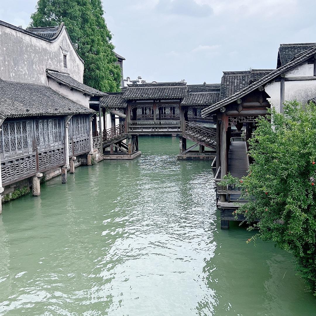 龙华家小店5鱼竿