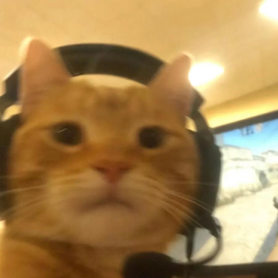 csgo