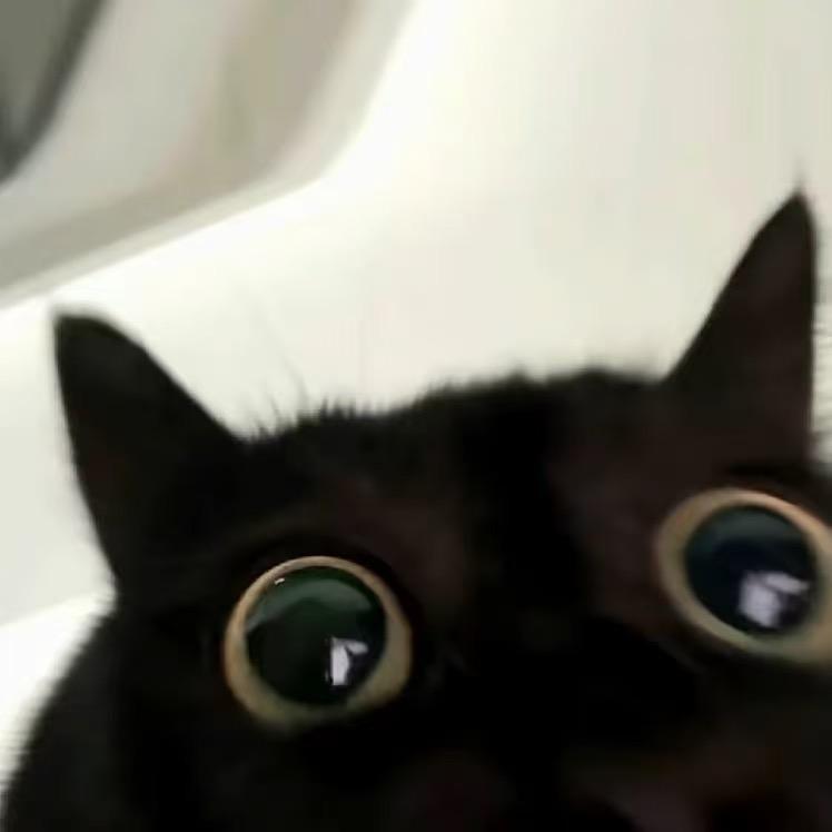 怎么又偏心了