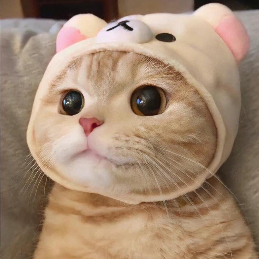 დ᭄玖