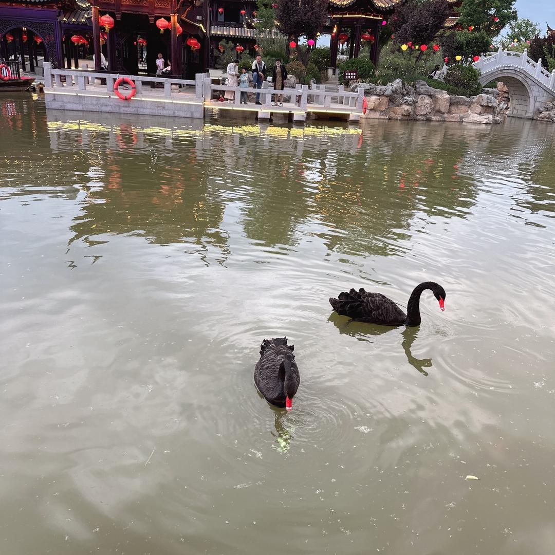 小袁爱生活