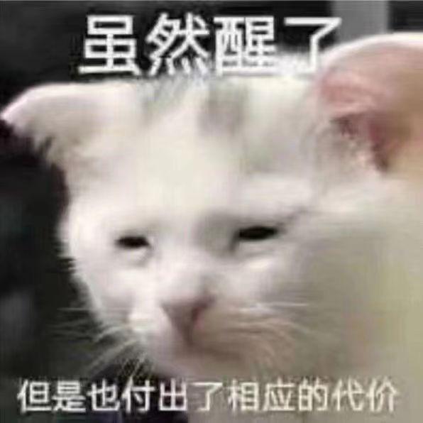 抬手給🐢一電炮