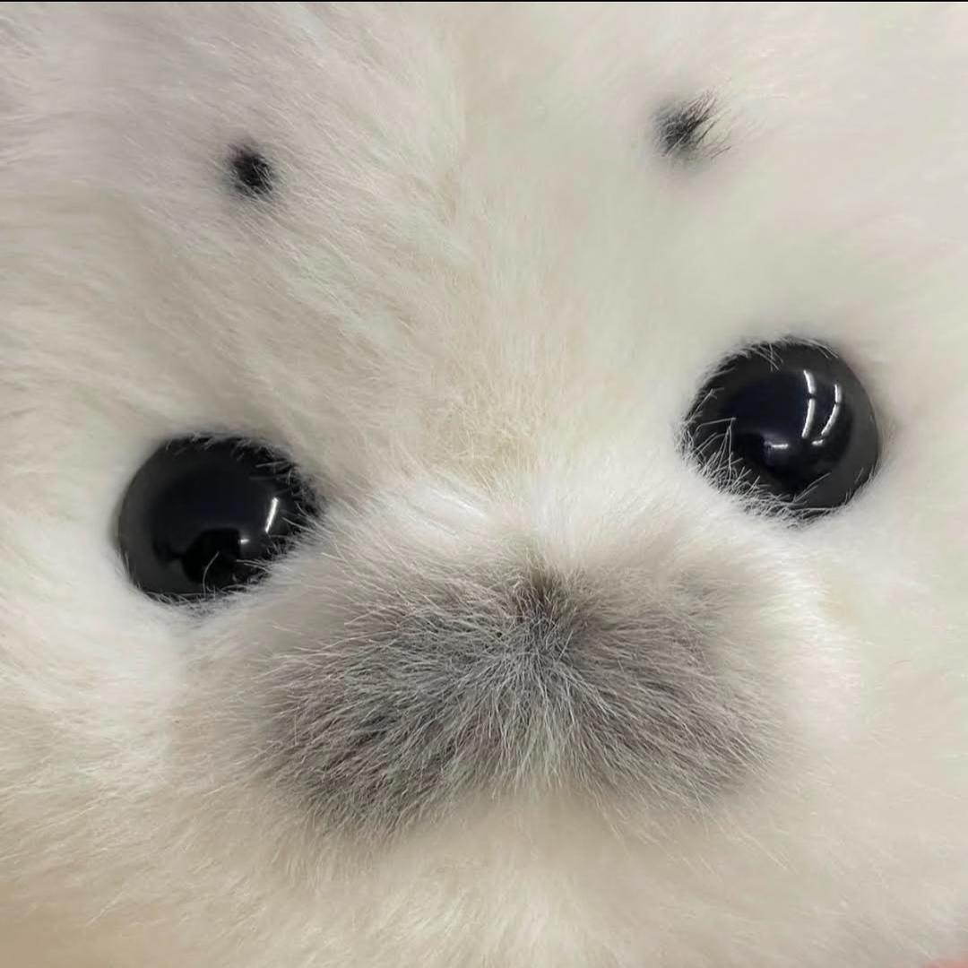 小雪球
