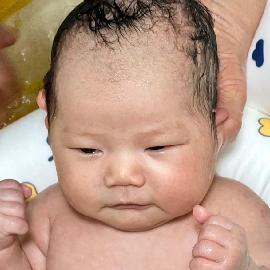 安家的小葵