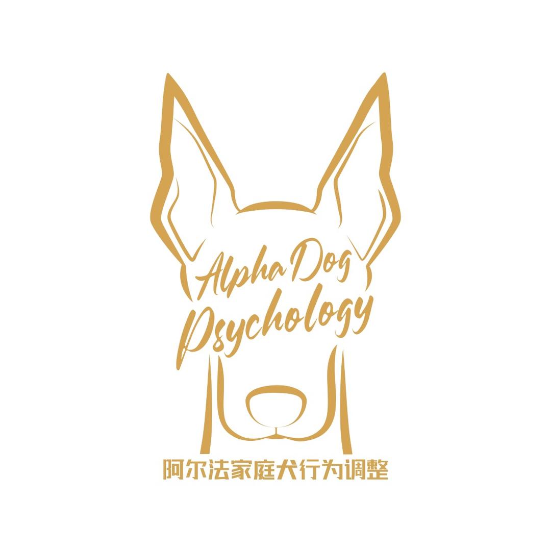 阿尔法家庭犬行为调整中心