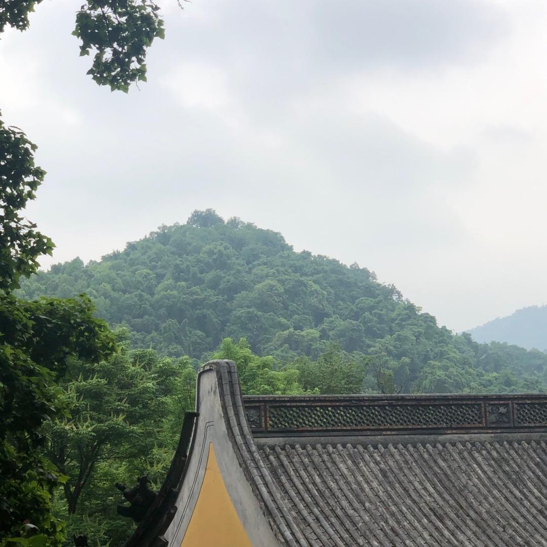 身未动❤️心已远