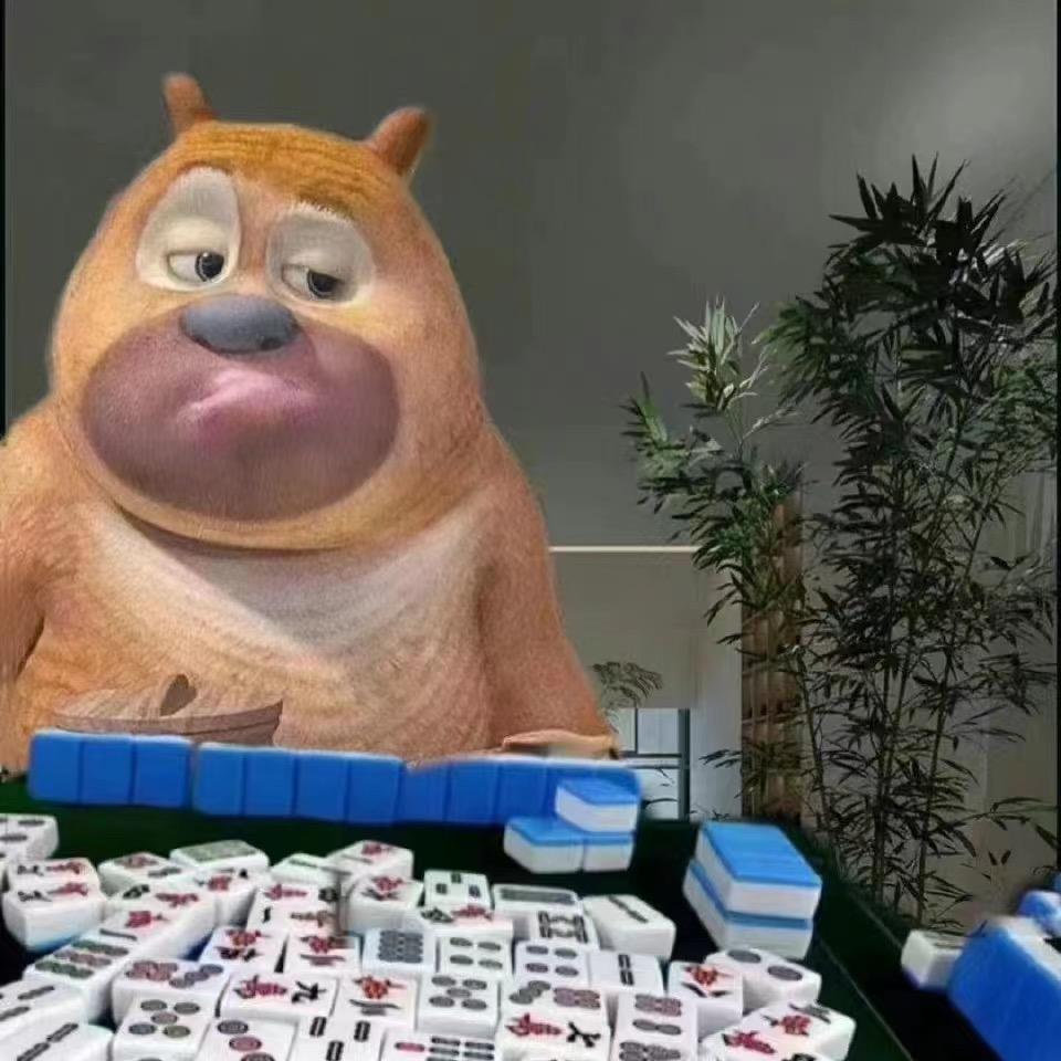 带派的马甲起