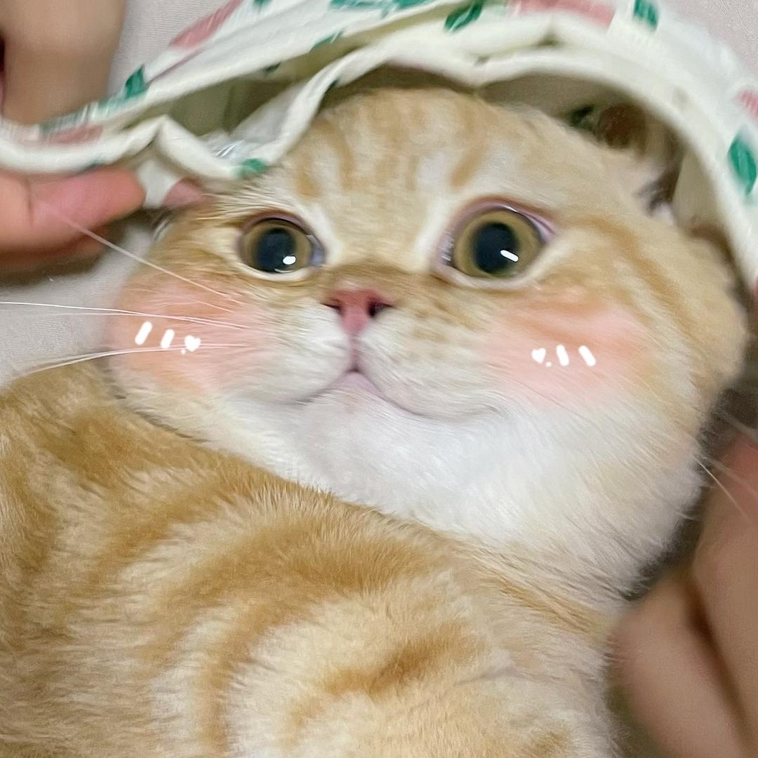 栗碳水
