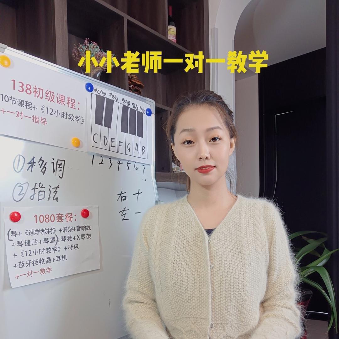 湘琴小小电子琴钢琴教学