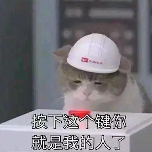 这也看不惯那也瞧不上