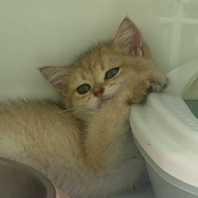 1️⃣1️⃣1️⃣1️⃣1️⃣👀