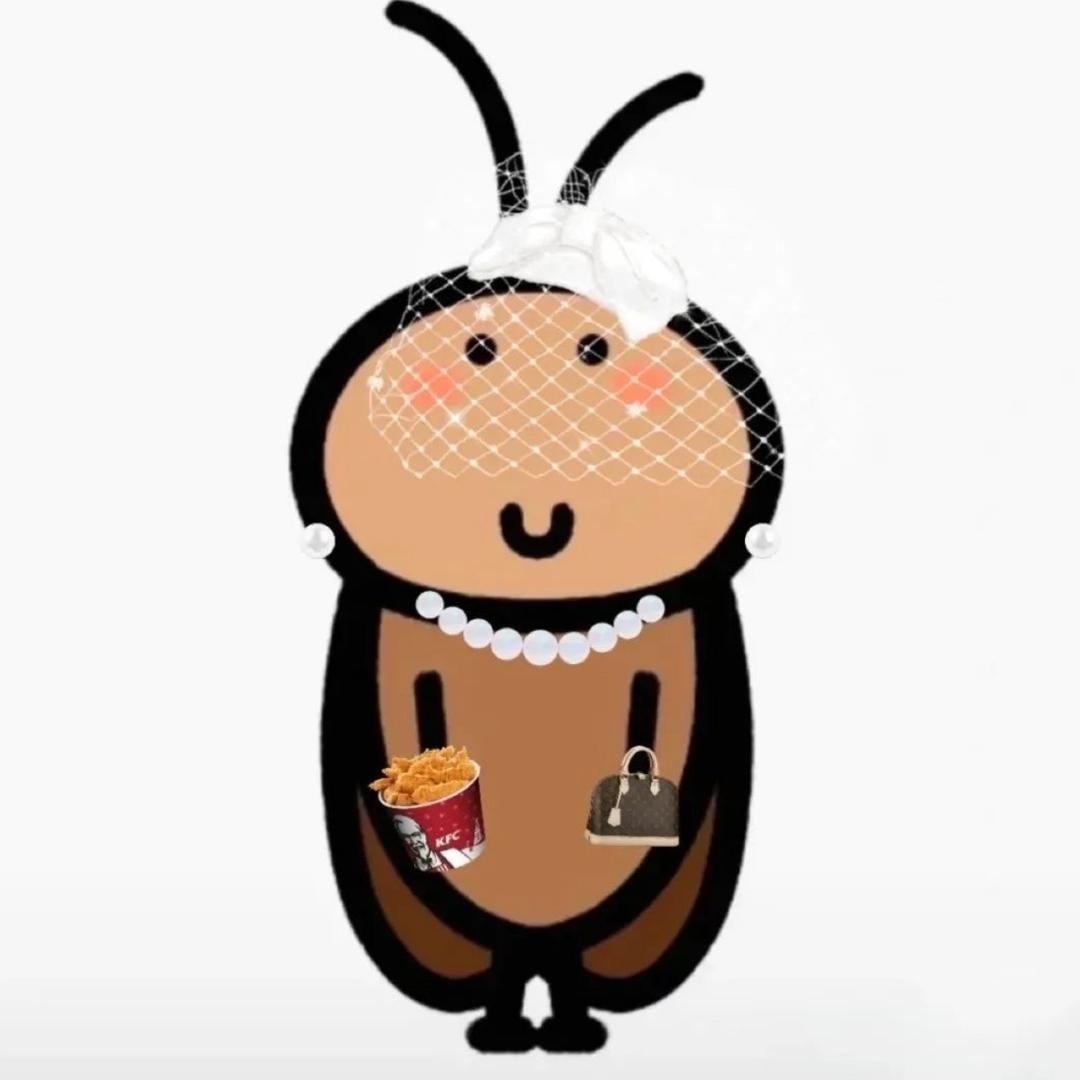 贵妇蟑螂