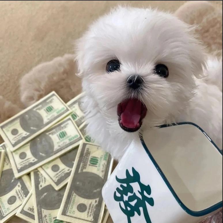 嘻嘻母婴超级懂✨