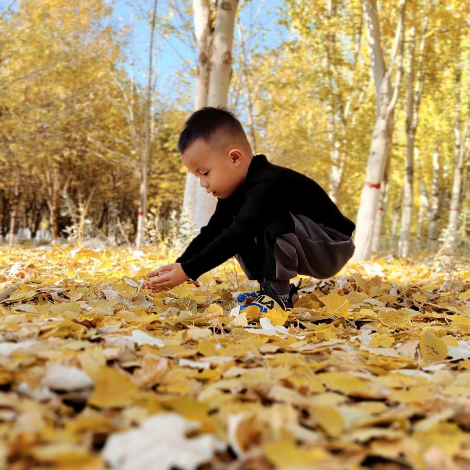再见 仍是少年