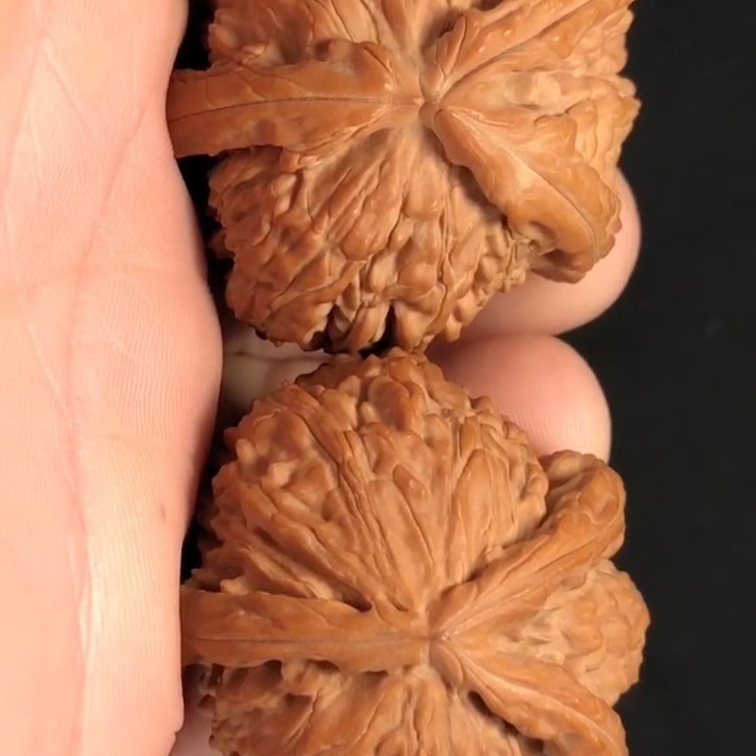 涞水麻核桃核情店