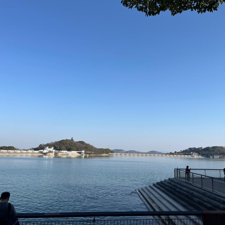 会飞的闲鱼