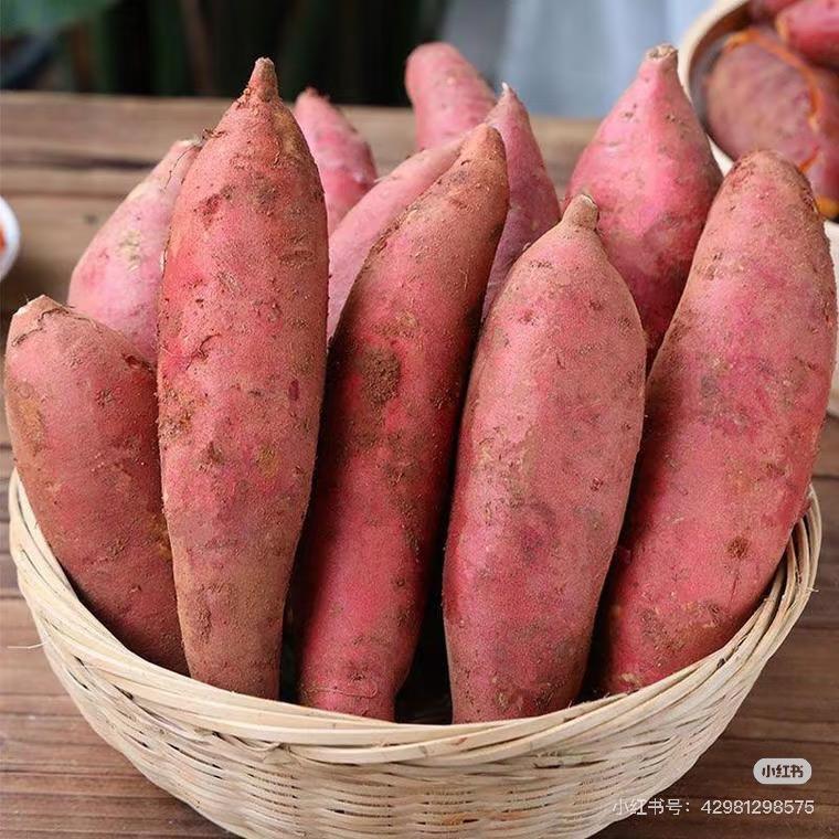 新疆鑫路豪严选特产