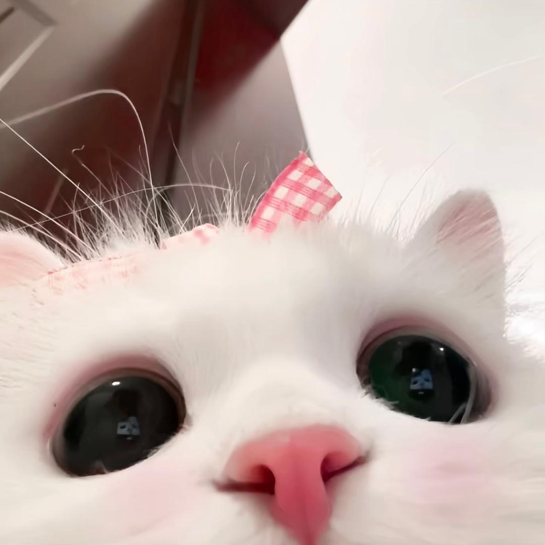 婼婼