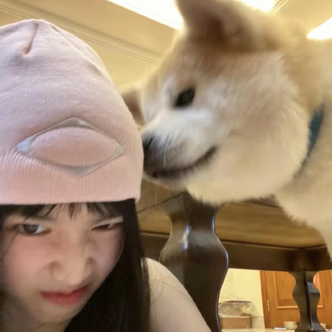 温州二手车丽丽