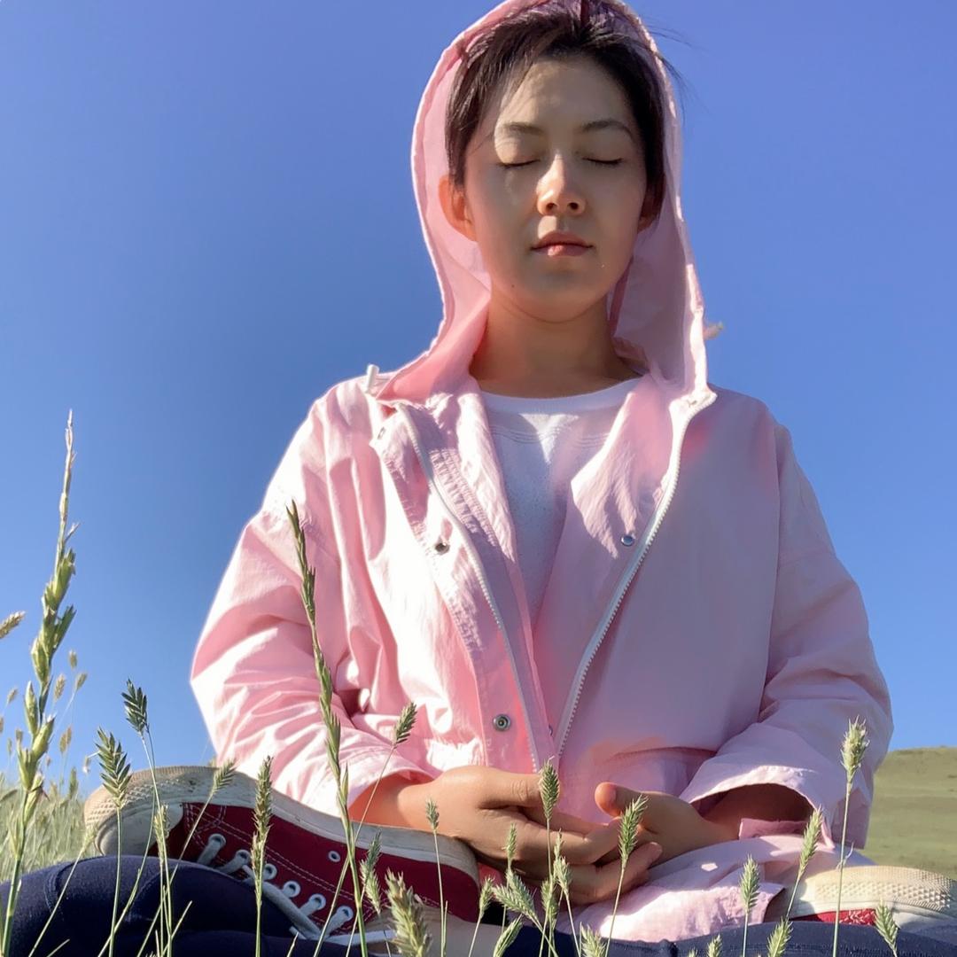 花神蜜猫
