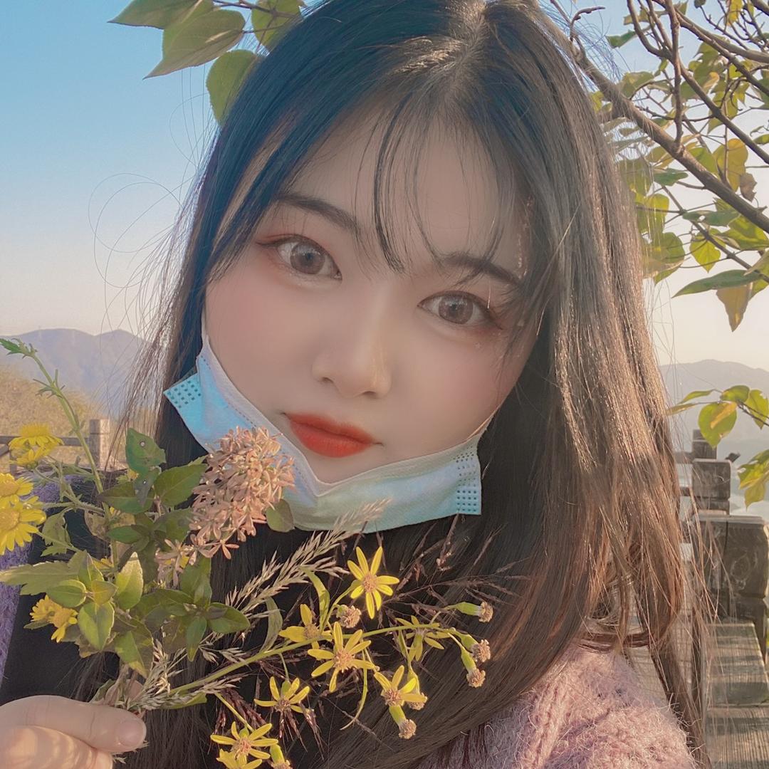 不吃米饭的仙女