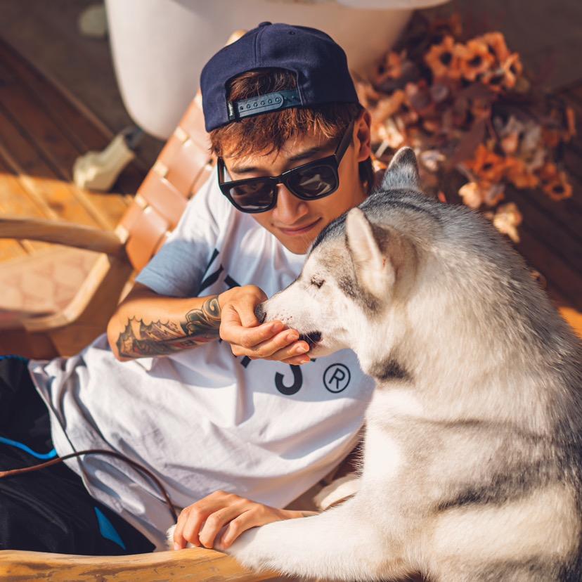 海棠哈士奇直播号