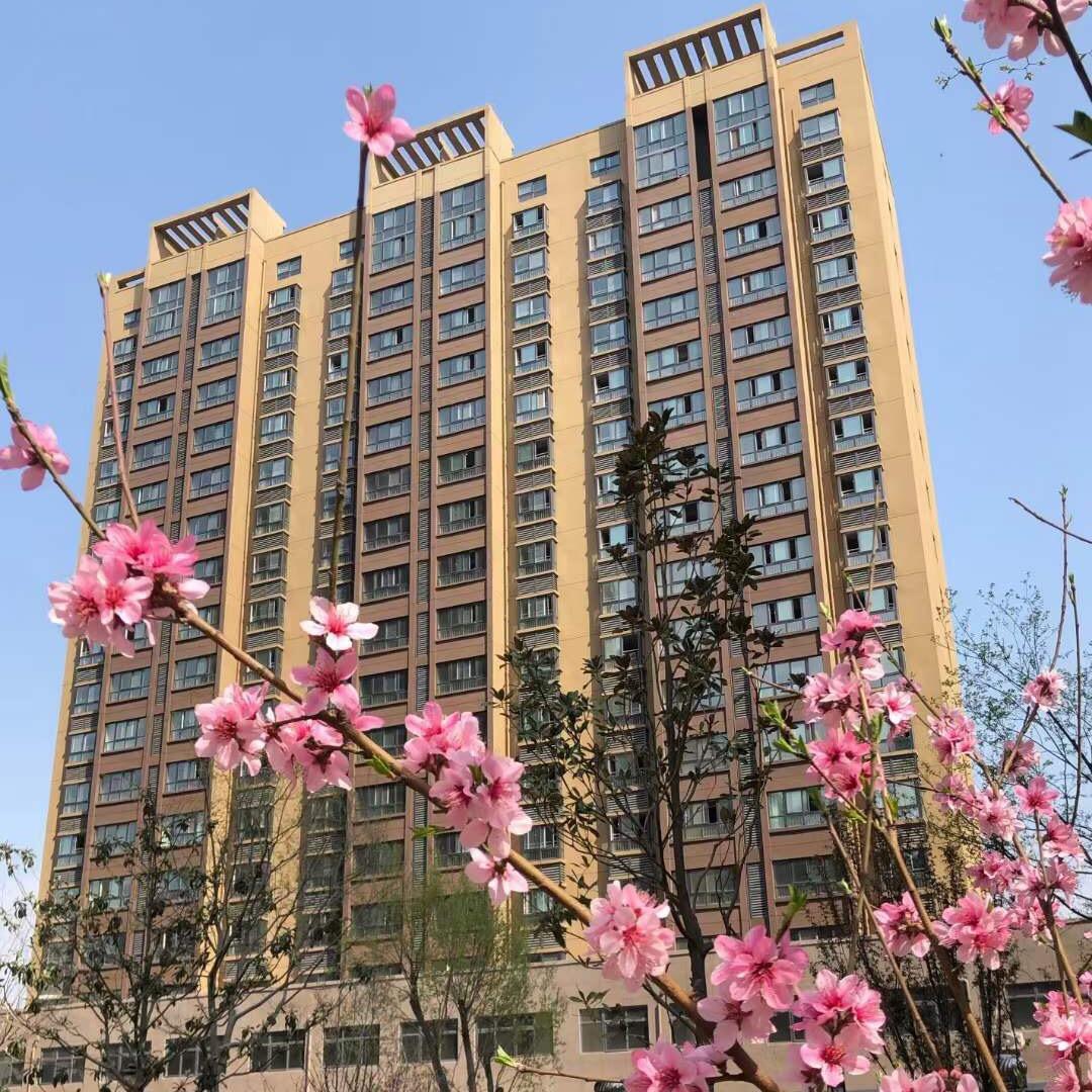 努力危化品夫妻驾