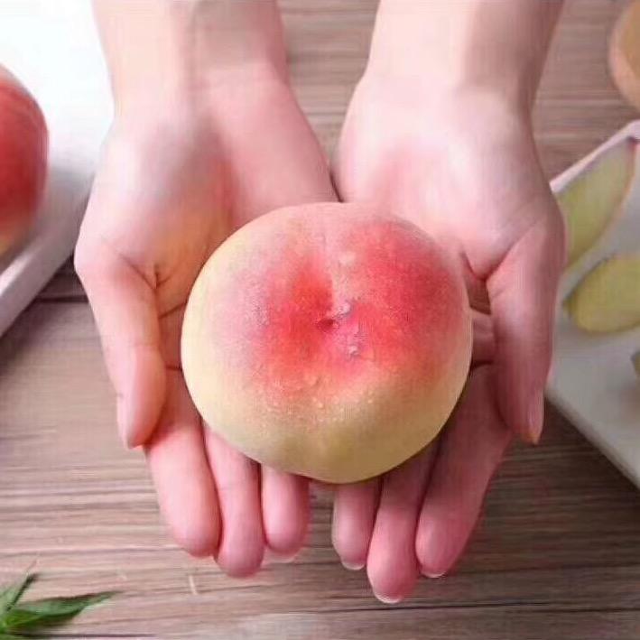 欣鲜（水蜜桃）