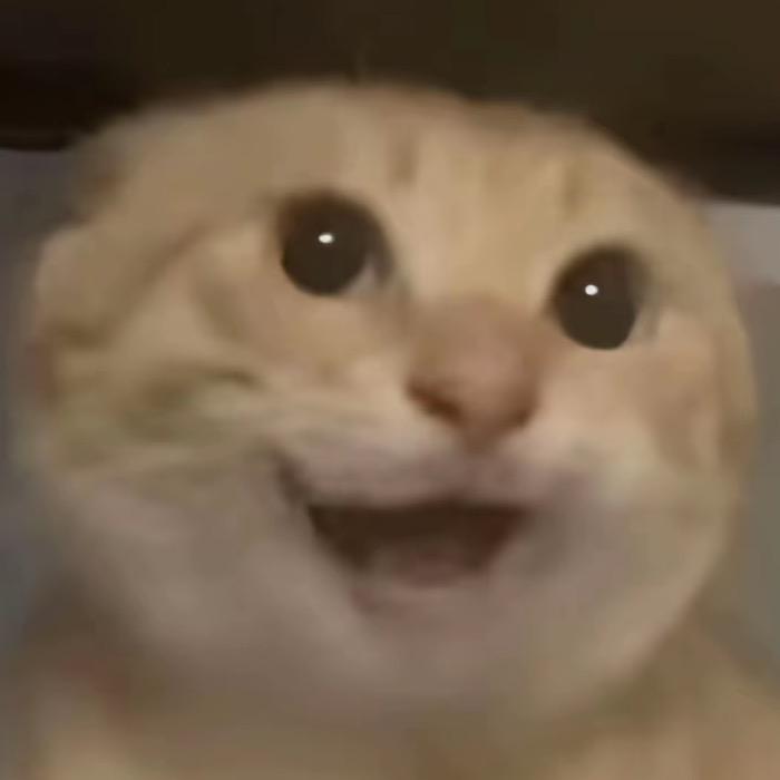 江屿.（洛克王国世界）