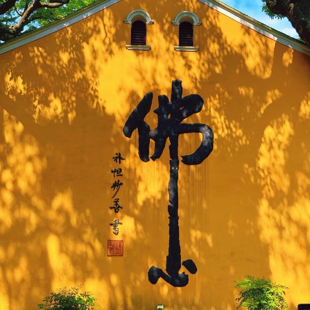 感恩相遇，慈心常伴