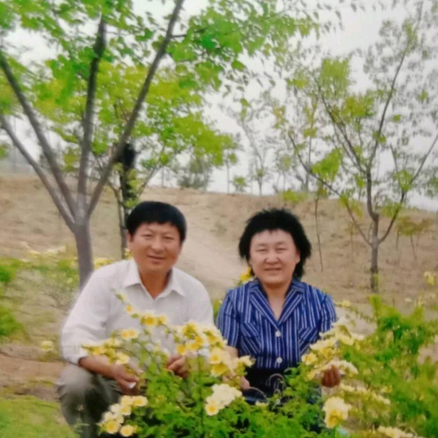 岁月静好107