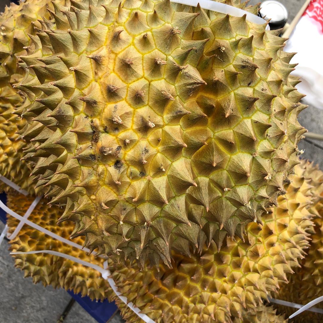 钱多多榴莲小铺