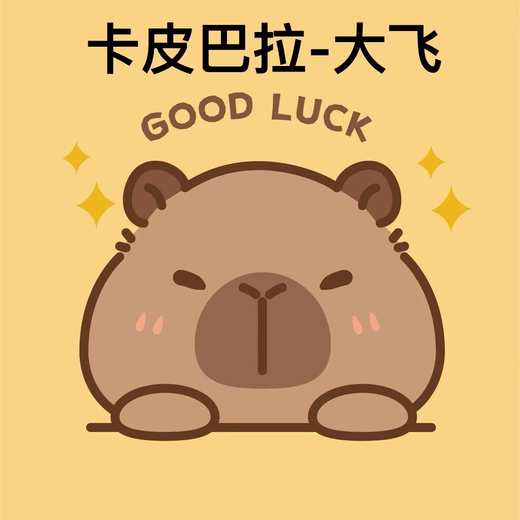 卡皮巴拉游乐汇大飞