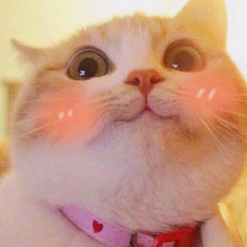 微微一笑很倾城