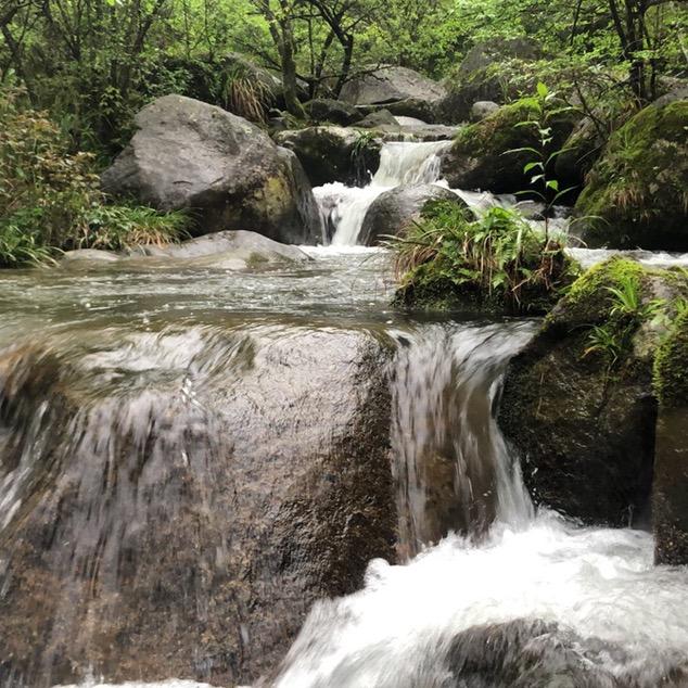 笑看人生阿斌哥