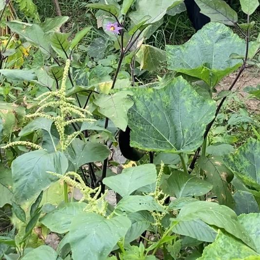 好用农资工厂店