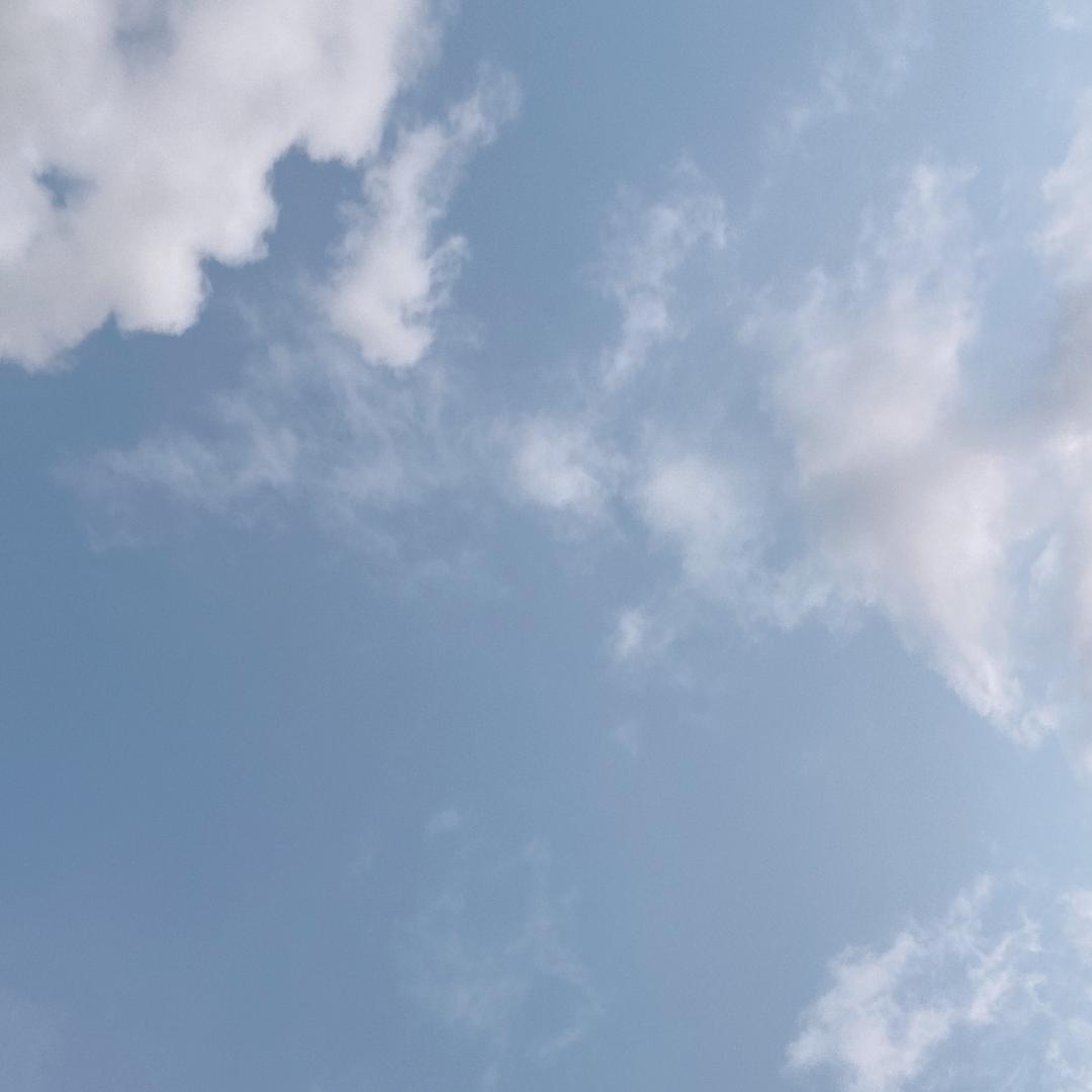 年糕糕